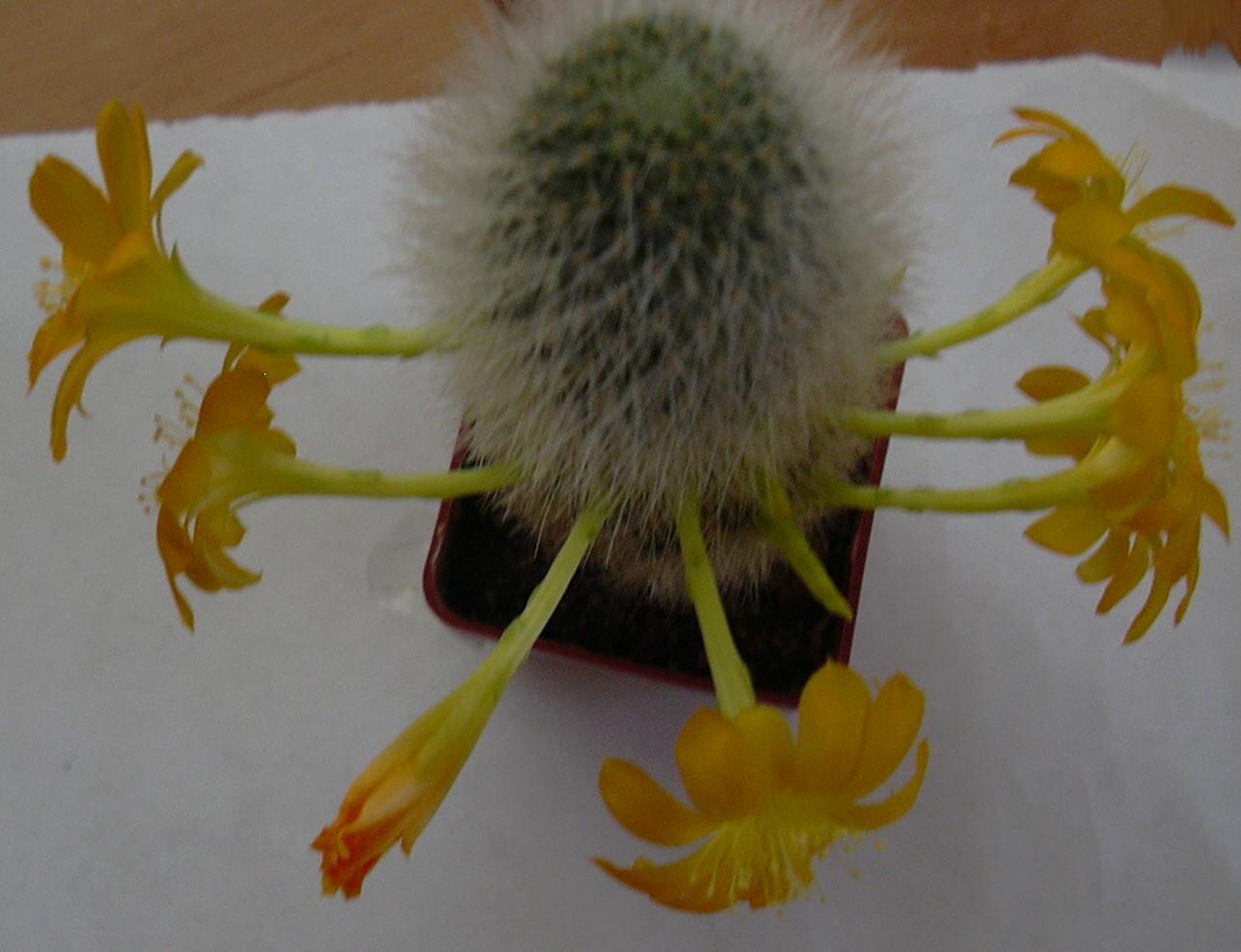 DSCN0348.JPG